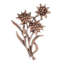 Havasi gyopár 52469 14cm